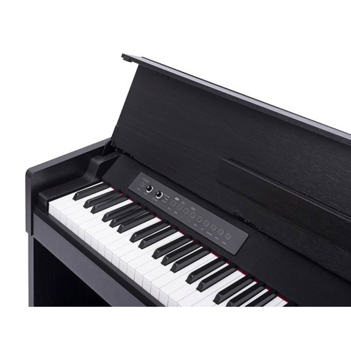 Medeli CP203/BK Piano Digital Domestico 88 Teclas Acción Martillo