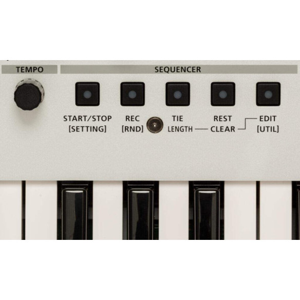 ROLAND GAIA 2 Sintetizador 37 Teclas
