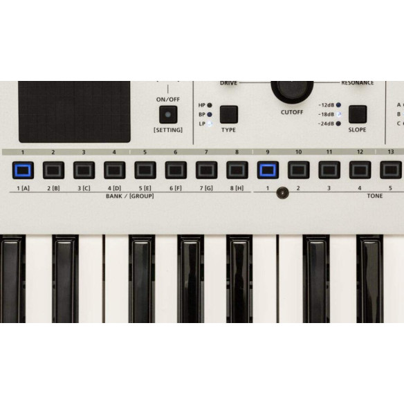 ROLAND GAIA 2 Sintetizador 37 Teclas