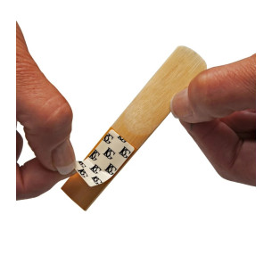 BG Pack de 3 Protege Cañas A80L