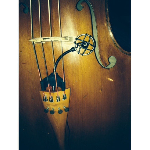 Prodipe CL-21 Micrófono para Cello