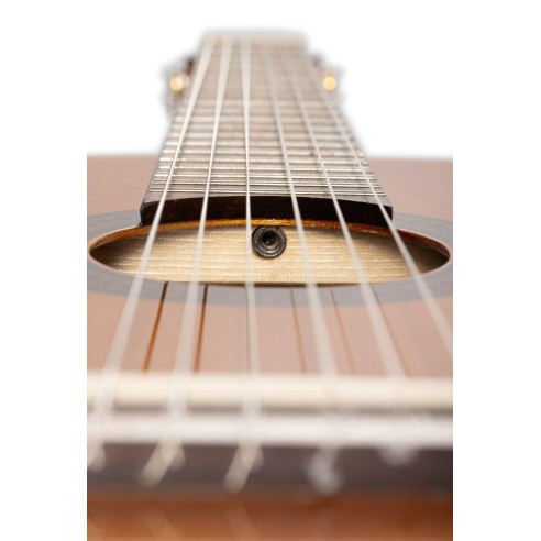 Admira Rosario Guitarra Clásica Estudio