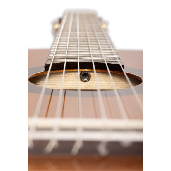 Admira Rosario Guitarra Clásica Estudio