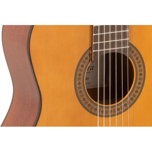 Admira Rosario Guitarra Clásica Estudio