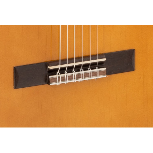 Admira Rosario Guitarra Clásica Estudio