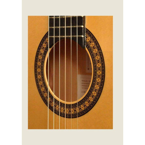 Compra FL-11-C Flex BL online | MusicSales