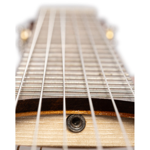 Admira ALEGRIA EF Guitarra Flamenco electrificada Fishman