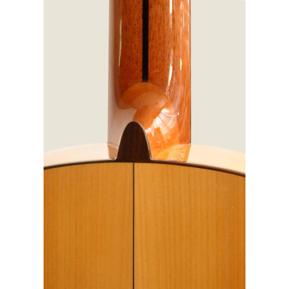 Camps PRIMERA Guitarra Flamenca