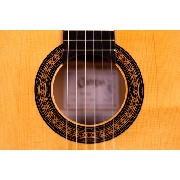 Camps PRIMERA Guitarra Flamenca