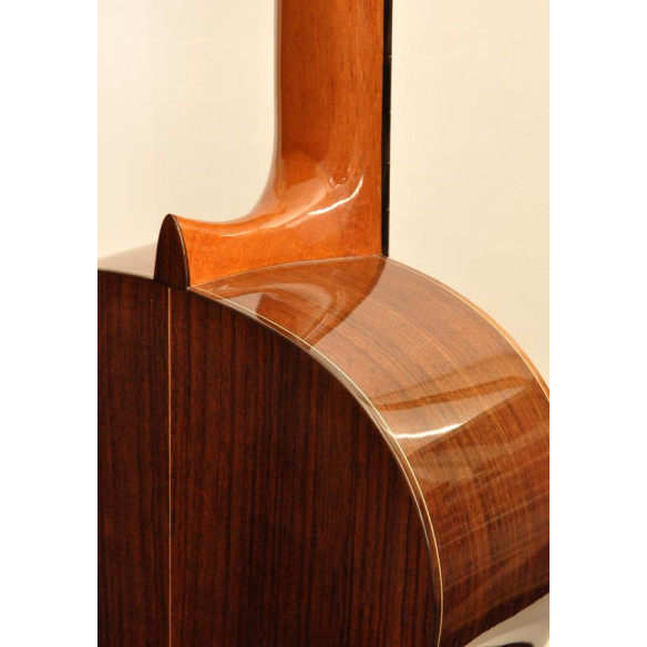 Guitarra Clásica Camps SP-6-S con tapa maciza de Abeto, cuerpo de Palisandro, diapasón de Ébano y varilla bidireccional.