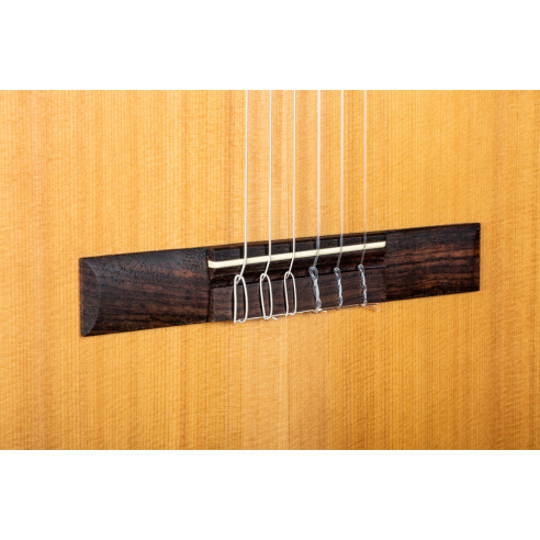 Camps M-1-S Guitarra Clásica Tapa Abeto