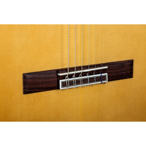 Camps M-10-C Guitarra Clásica Tapa de Cedro