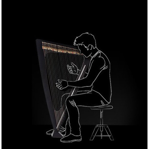 Salvi Arpa DELTA Electroacústica