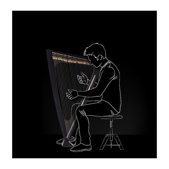 Salvi Arpa DELTA Electroacústica