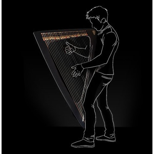 Salvi Arpa DELTA Electroacústica