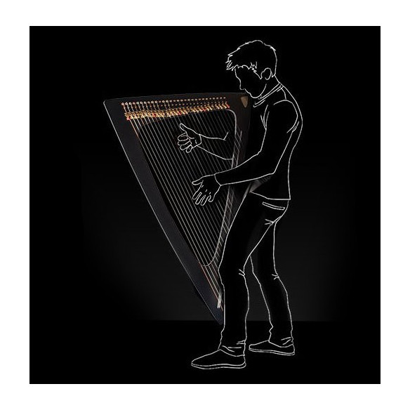 Salvi Arpa DELTA Electroacústica