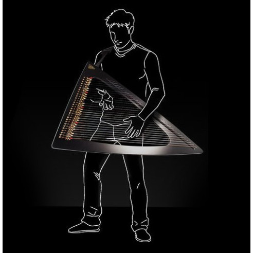 Salvi Arpa DELTA Electroacústica