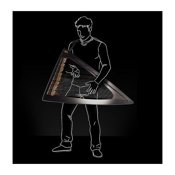 Salvi Arpa DELTA Electroacústica