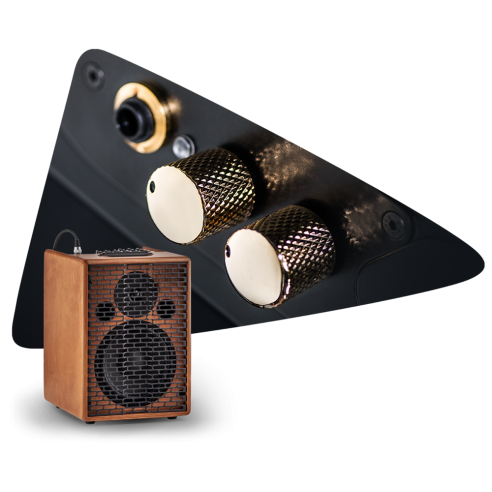 Salvi Arpa DELTA Electroacústica