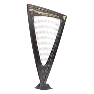 ARPA SALVI DELTA ELECT CARBONO 2