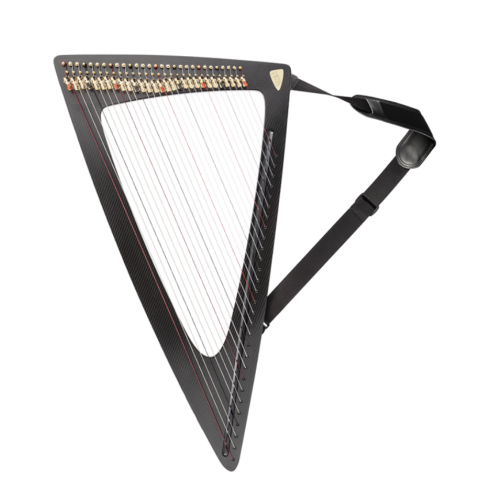 Salvi Arpa DELTA C Carbono