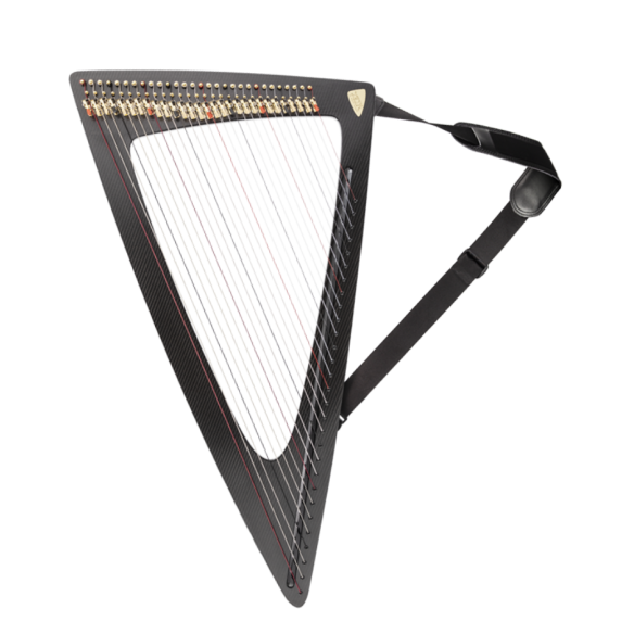 Salvi Arpa DELTA C Carbono