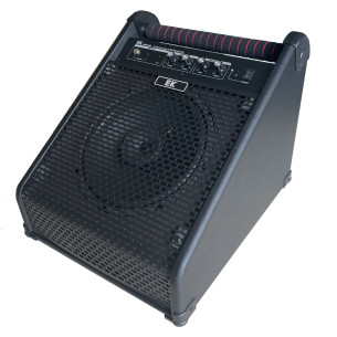 EK ADR40B Amplificador Batería Digital 40W 2