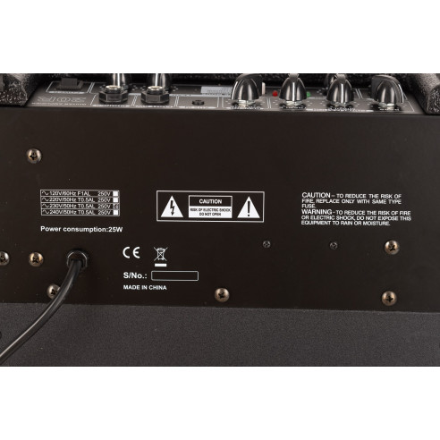 EK 20R Amplificador Guitarra Eléctrica con Efectos