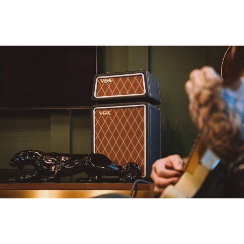 AMPLI MICRO SUPERBEETLE GUITAR