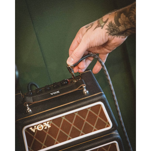 AMPLI MICRO SUPERBEETLE GUITAR