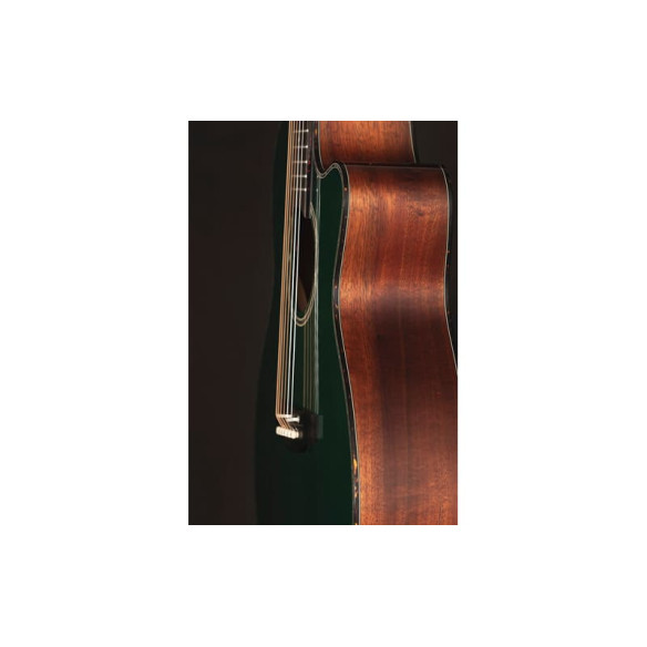 Takamine LTD 2025 Guitarra Electroacústica Antique Ever Green