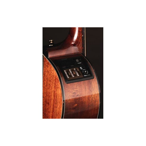 Takamine LTD 2025 Guitarra Electroacústica Antique Ever Green