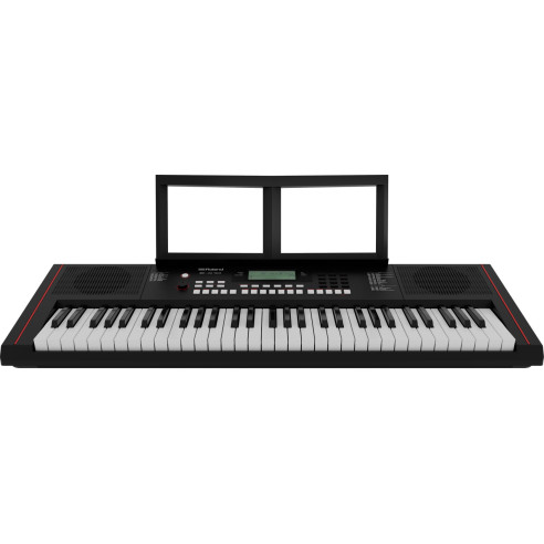 Roland E-X10 Teclado Arranger doméstico