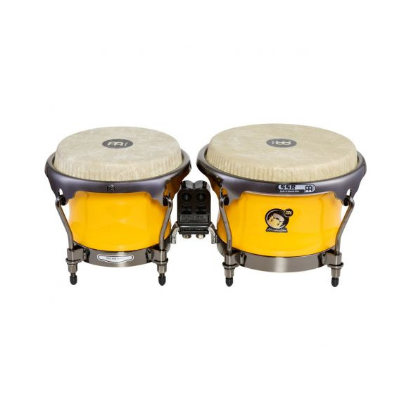 AA400SY ALEXANDRA ALBAN SIGN.BONGO, SUNRISE YELLOW