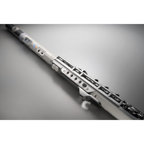 Roland AEROPHONE  Ae-BRISA Flauta Travesera Digital