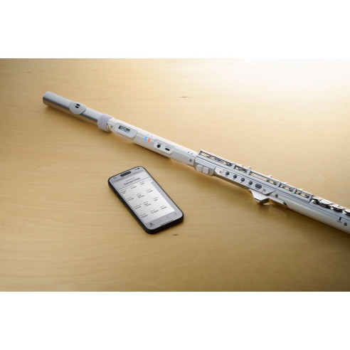 Roland AEROPHONE  Ae-BRISA Flauta Travesera Digital