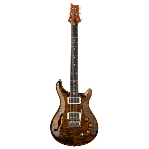 PRS DGT SEMI-HOLLOW TIGER EYE MOONS