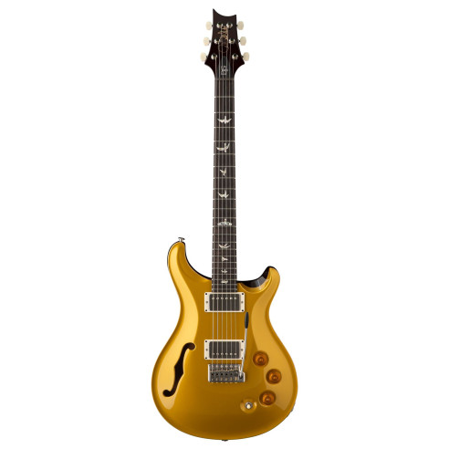 GUIT ELEC. DGT SH GOLD TOP (BI