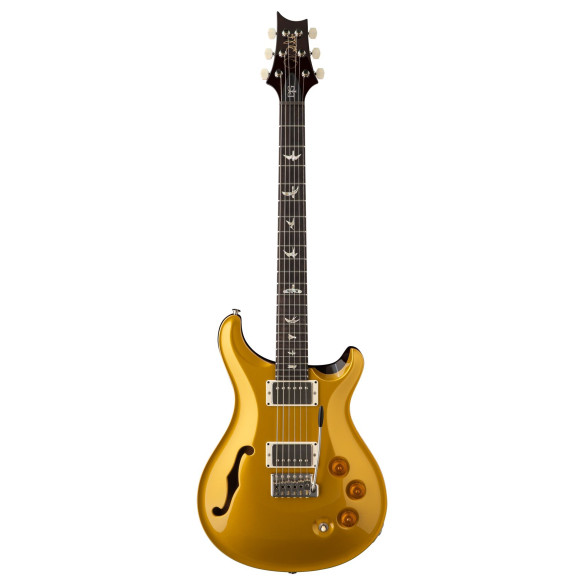 GUIT ELEC. DGT SH GOLD TOP (BI
