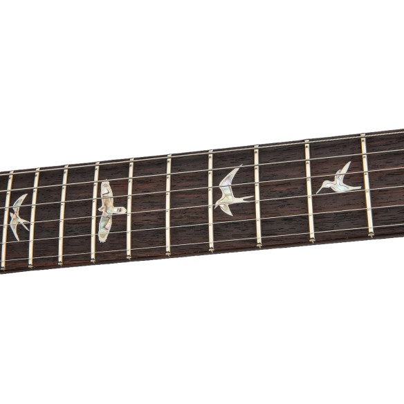 GUIT ELEC. DGT TIGER EYE (BIRD