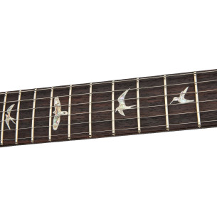 GUIT ELEC. DGT SH TIGER EYE (B 2