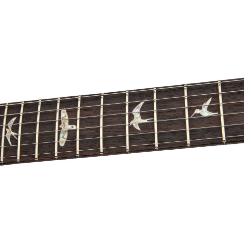 GUIT ELEC. DGT SH TIGER EYE (B