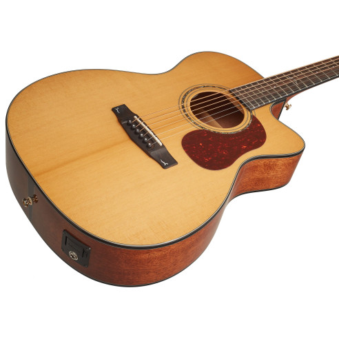 GUIT ACUST GOLD-OC6 NAT W/CASE