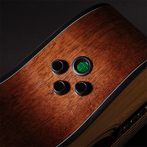 GUIT ACUST GOLD-OC6 NAT W/CASE