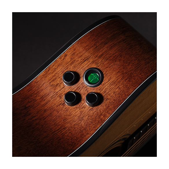 GUIT ACUST GOLD-OC6 NAT W/CASE