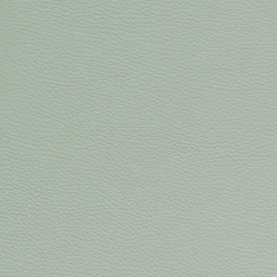 Bam Cabine L'Étoile Royal ETRO4011S Estuche Saxo Alto Pistachio Pistacho