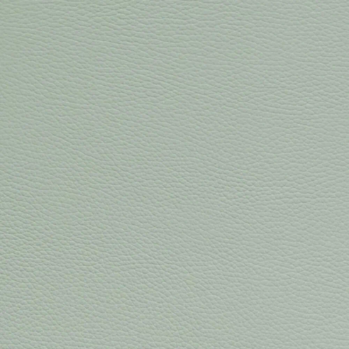 Bam Cabine L'Étoile Royal ETRO4011S Estuche Saxo Alto Pistachio Pistacho