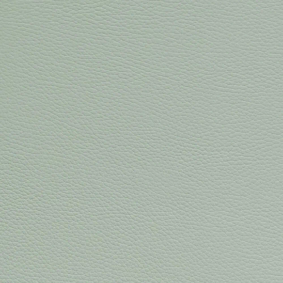 Bam Cabine L'Étoile Royal ETRO4011S Estuche Saxo Alto Pistachio Pistacho