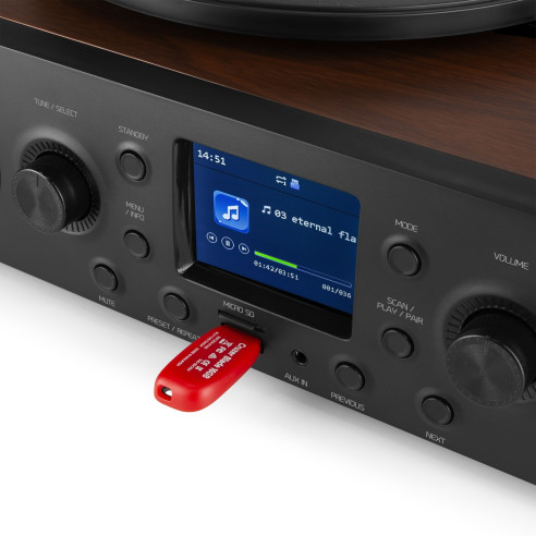 Audizio TULSA Equipo de sonido Hifi con giradiscos DAB Radio