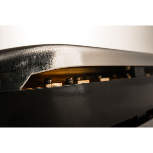 Hohner Armónica SPECIAL 20 NEW C (DO)